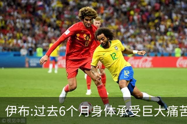 伊布:过去6个月身体承受巨大痛苦 只为帮球队夺冠